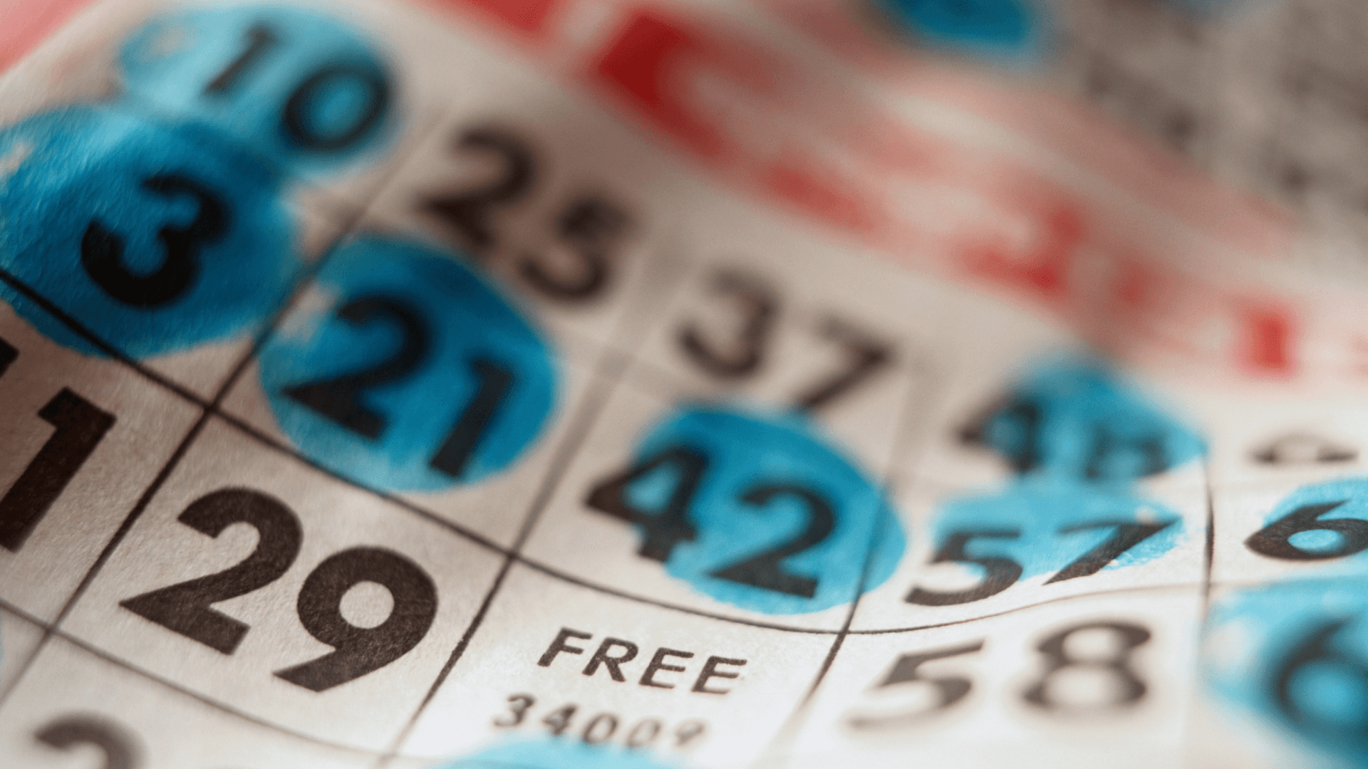 ทุกอย่างเกี่ยวกับไพ่บิงโกออนไลน์และการโทร image